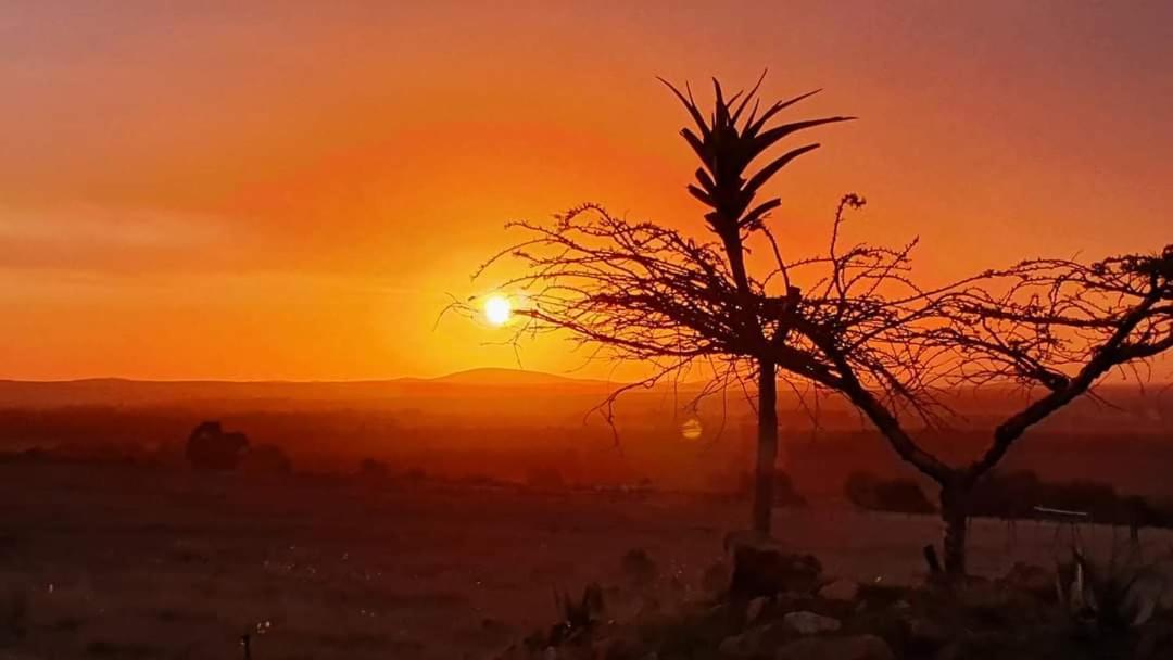 فيلا Kwetu Guest Farm سويلندام المظهر الخارجي الصورة